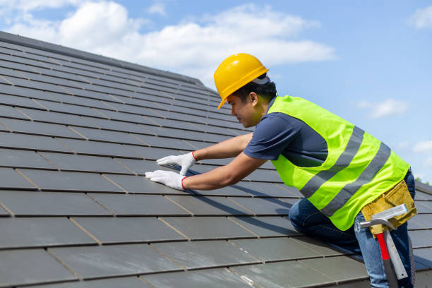 Best Roof Repair Services  in Camp Point, IL
