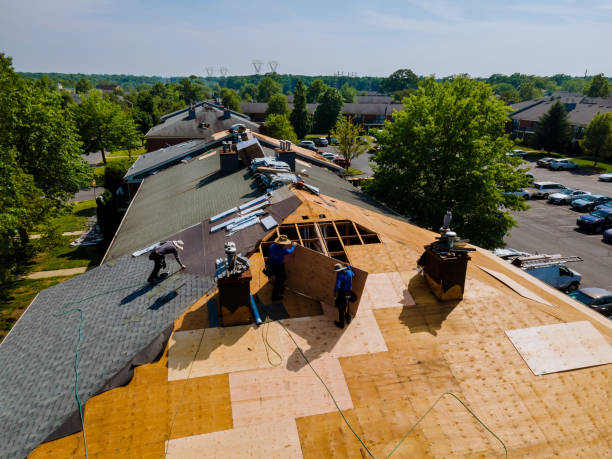 Best Commercial Roof Installation  in Camp Point, IL
