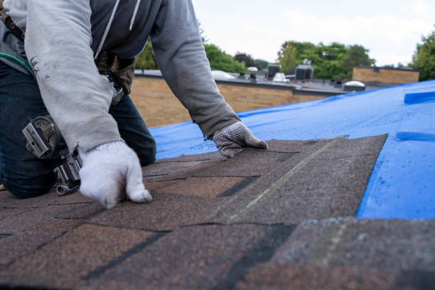 Best Storm Damage Roof Repair  in Camp Point, IL