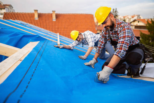 Best Roof Leak Repair  in Camp Point, IL