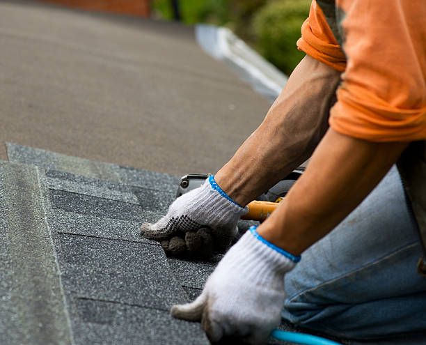 Best Roof Leak Repair  in Camp Point, IL