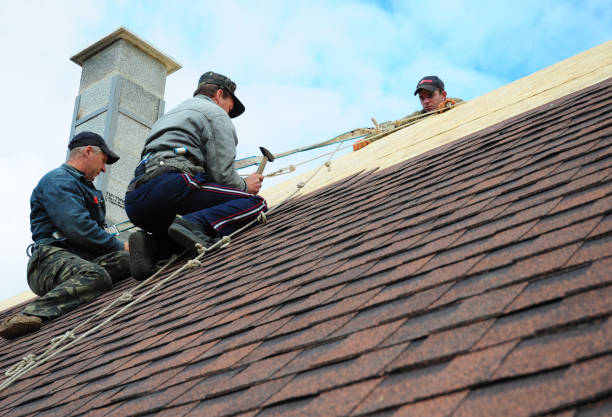 Best Affordable Roofing Company  in Camp Point, IL